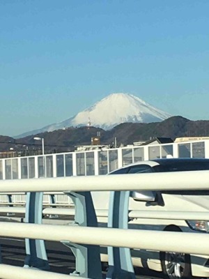 富士山 ブログ モリー君が行く 平塚や二宮 大磯の不動産はハウスモリー八重咲地所