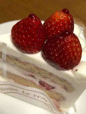 日本一美味しいショートケーキ ブログ モリー君が行く 平塚や二宮 大磯の不動産はハウスモリー八重咲地所