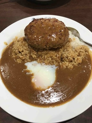 ココイチのカレー ブログ モリー君が行く 平塚や二宮 大磯の不動産はハウスモリー八重咲地所