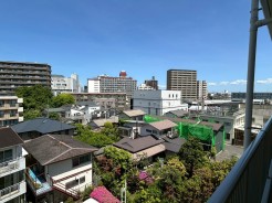 廊下からの眺めです。