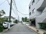 ビッグヴァン八重咲　305 