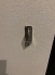 玄関前リードフック 