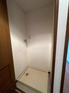 ビッグヴァン八重咲 305
