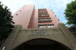 平塚市中原2丁目